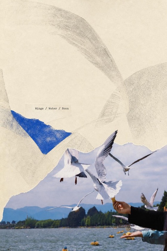 A Flock Passing By — Scenes Gathered